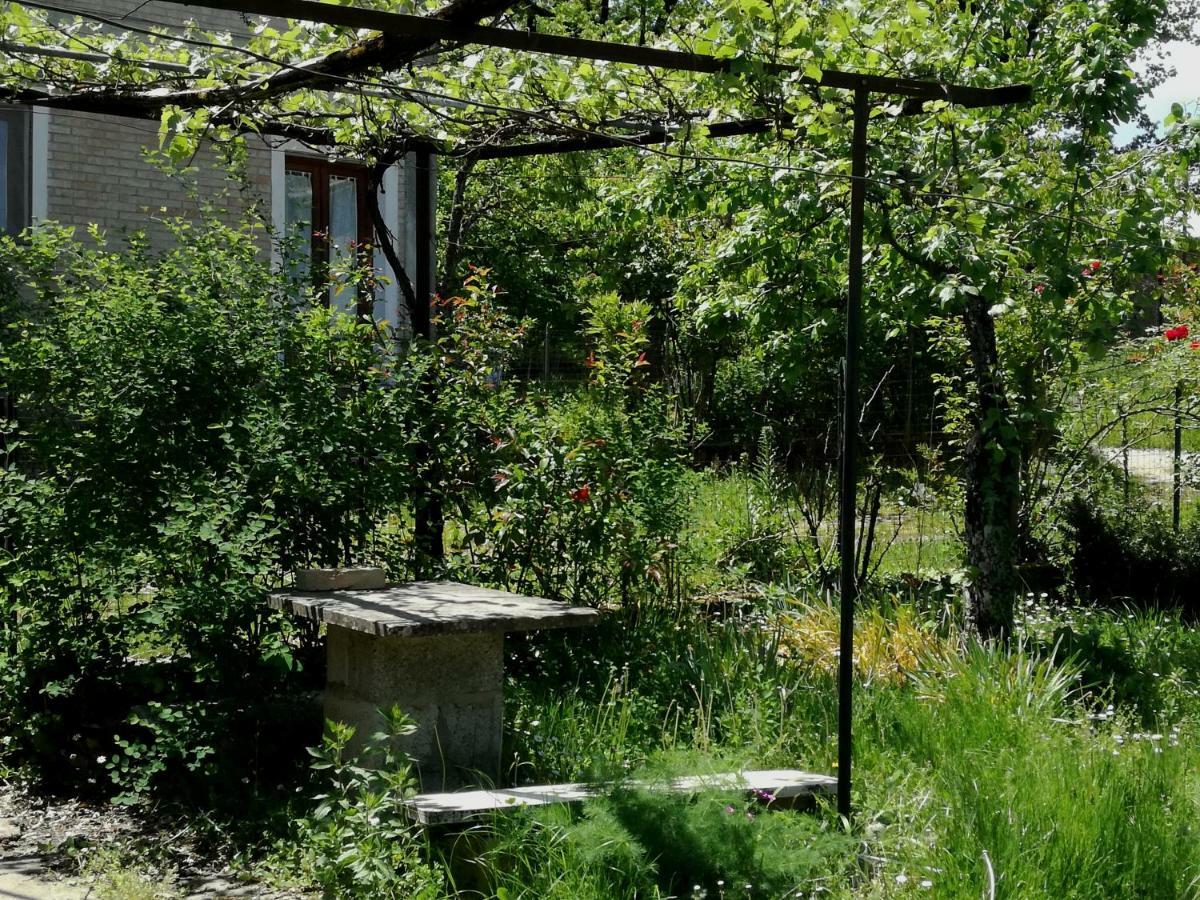 Casa Nel Verde Decollatura Luaran gambar