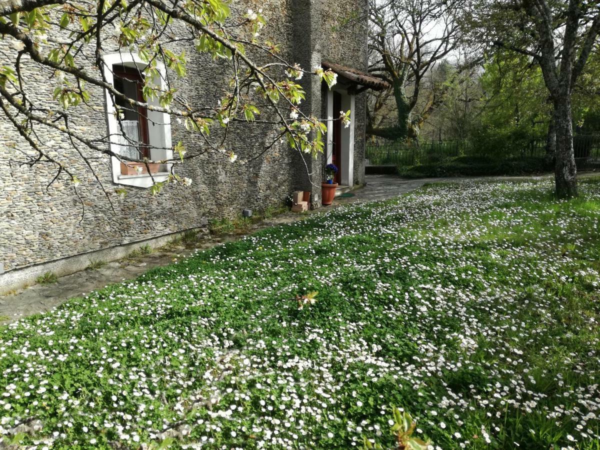 Casa Nel Verde Decollatura Luaran gambar